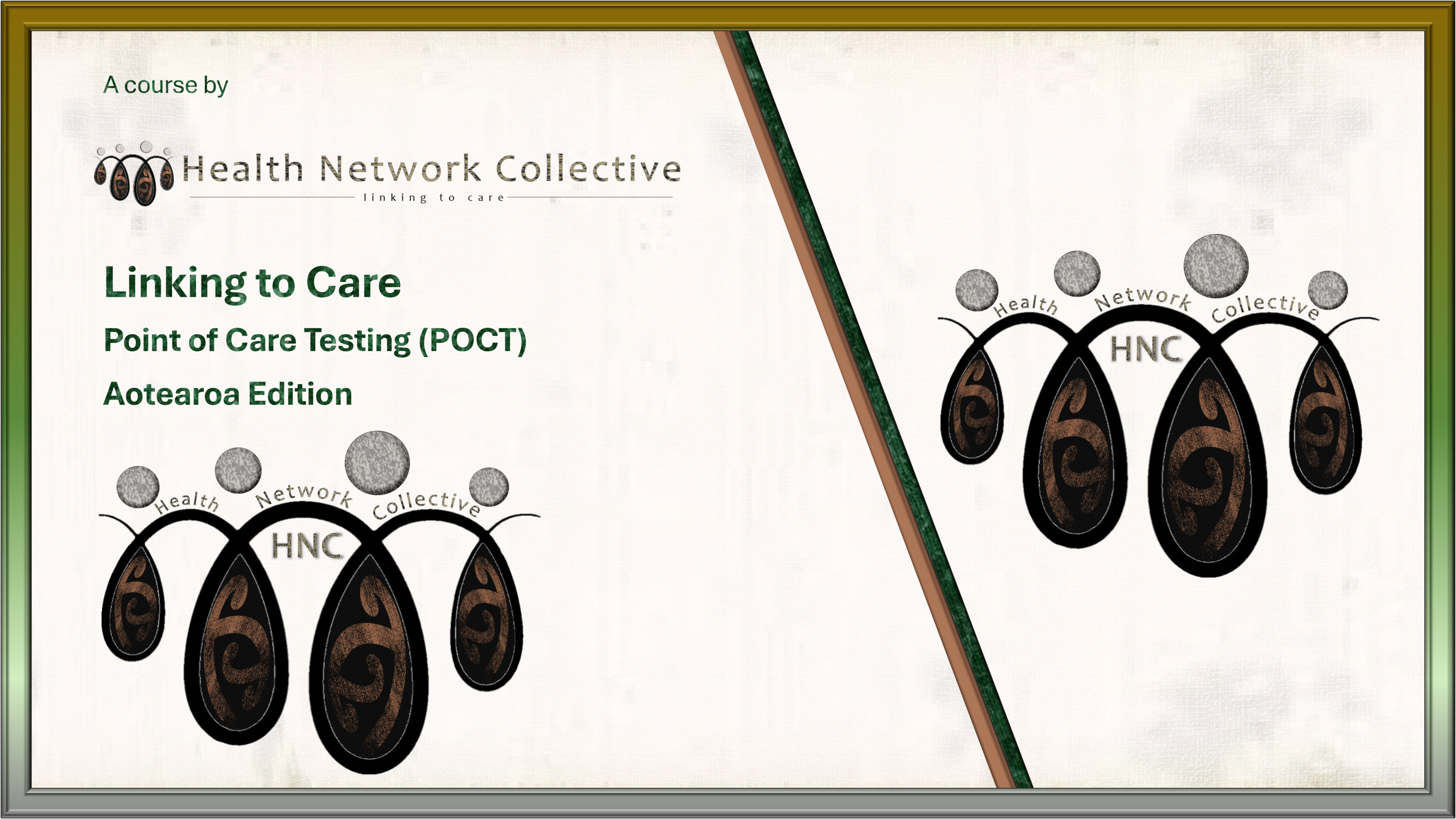 Linking to Care, Point of Care Testing (POCT). Aotearoa Edition